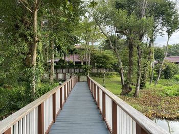 Footbridge amidst trees in forest