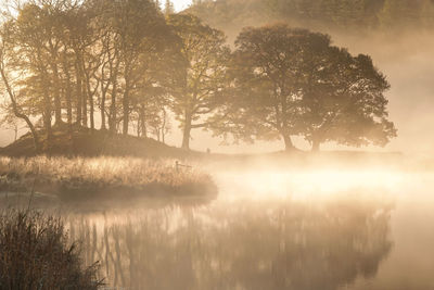 mist