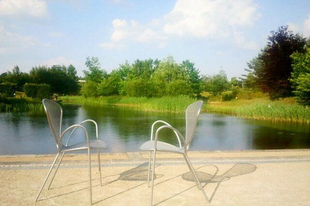 water, tree, tranquility, tranquil scene, sky, nature, lake, beauty in nature, scenics, growth, day, absence, reflection, outdoors, empty, cloud, no people, plant, pond, cloud - sky