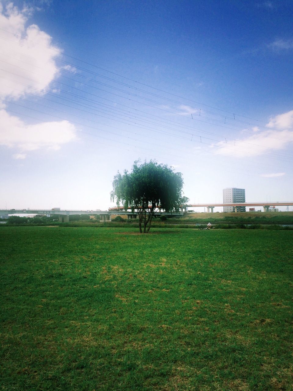 grass, sky, field, tree, tranquil scene, landscape, tranquility, grassy, building exterior, cloud - sky, green color, scenics, beauty in nature, cloud, built structure, architecture, nature, blue, growth, day