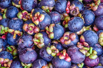 Full frame shot of blackberries in market