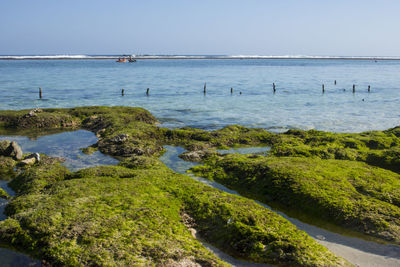 Scenic view of sea against clear sky