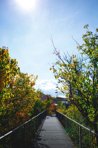 Footpath amidst trees against sky during autumn