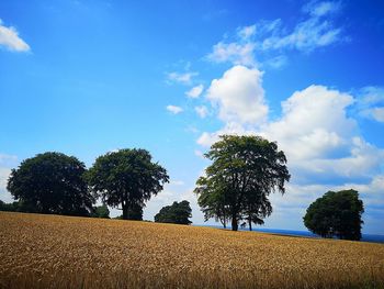 Trees on field against sky