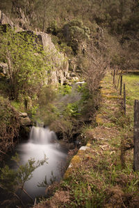 Scenic view of waterfall in forest