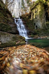 Scenic view of waterfall in forest