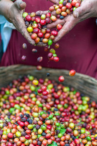 Cropped image of vegetables