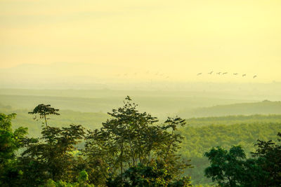 Scenic view of landscape against sky