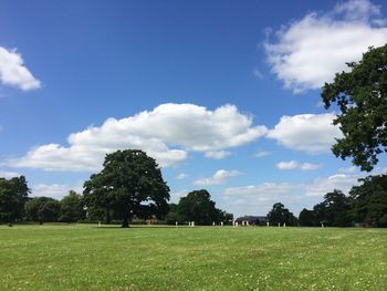 Scenic view of grassy field against sky