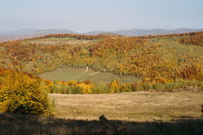 Colorful autumn landscape in mountains