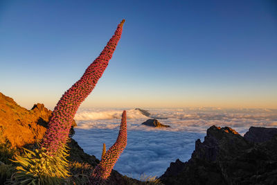 Scenic view of mountain against blue sky during sunset