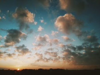 Low angle view of silhouette trees against sky during sunset