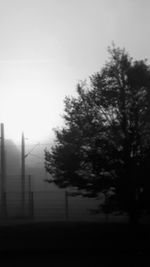 Silhouette trees and electricity pylon against clear sky