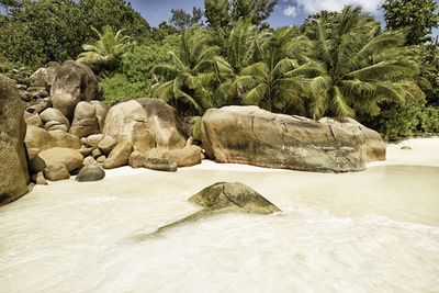 Rocks on beach against sky