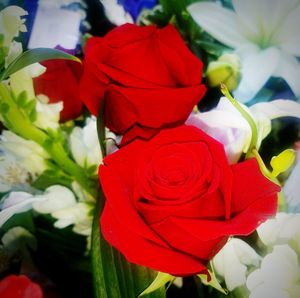 Close-up of rose bouquet