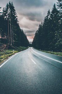 Empty road along trees and plants