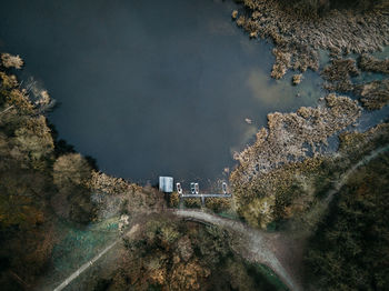 High angle view of trees and buildings