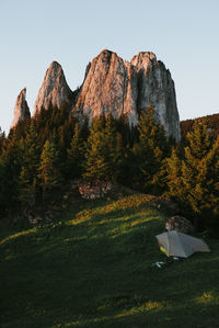 View of trees on mountain against sky