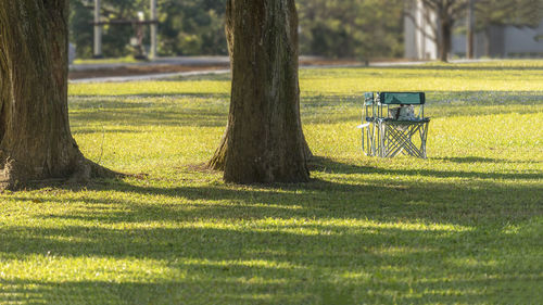 Bench in park