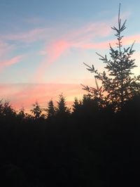 Silhouette trees against sky at sunset