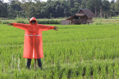 Scarecrow on agricultural field