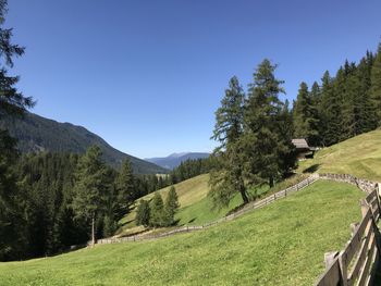 Scenic view of landscape against clear sky