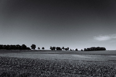 Scenic view of field against clear sky