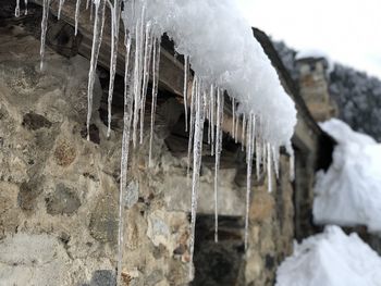 Close-up of icicles on ice