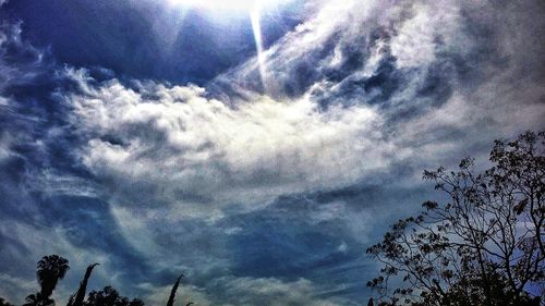 Low angle view of trees against cloudy sky