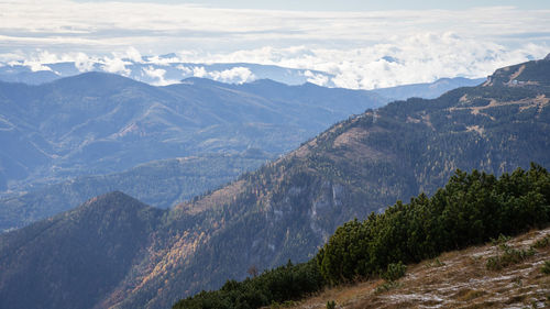 mountain
