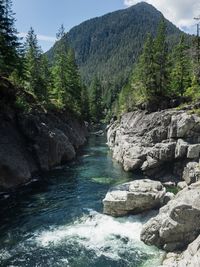 Scenic view of river flowing through rocks