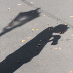 Shadow of people on road