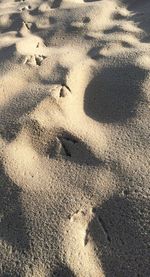 Shadow of people on beach