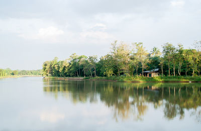 Scenic view of lake by trees against sky