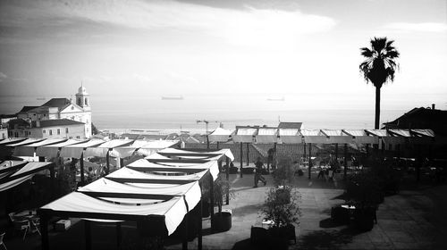 Palm trees by sea against sky