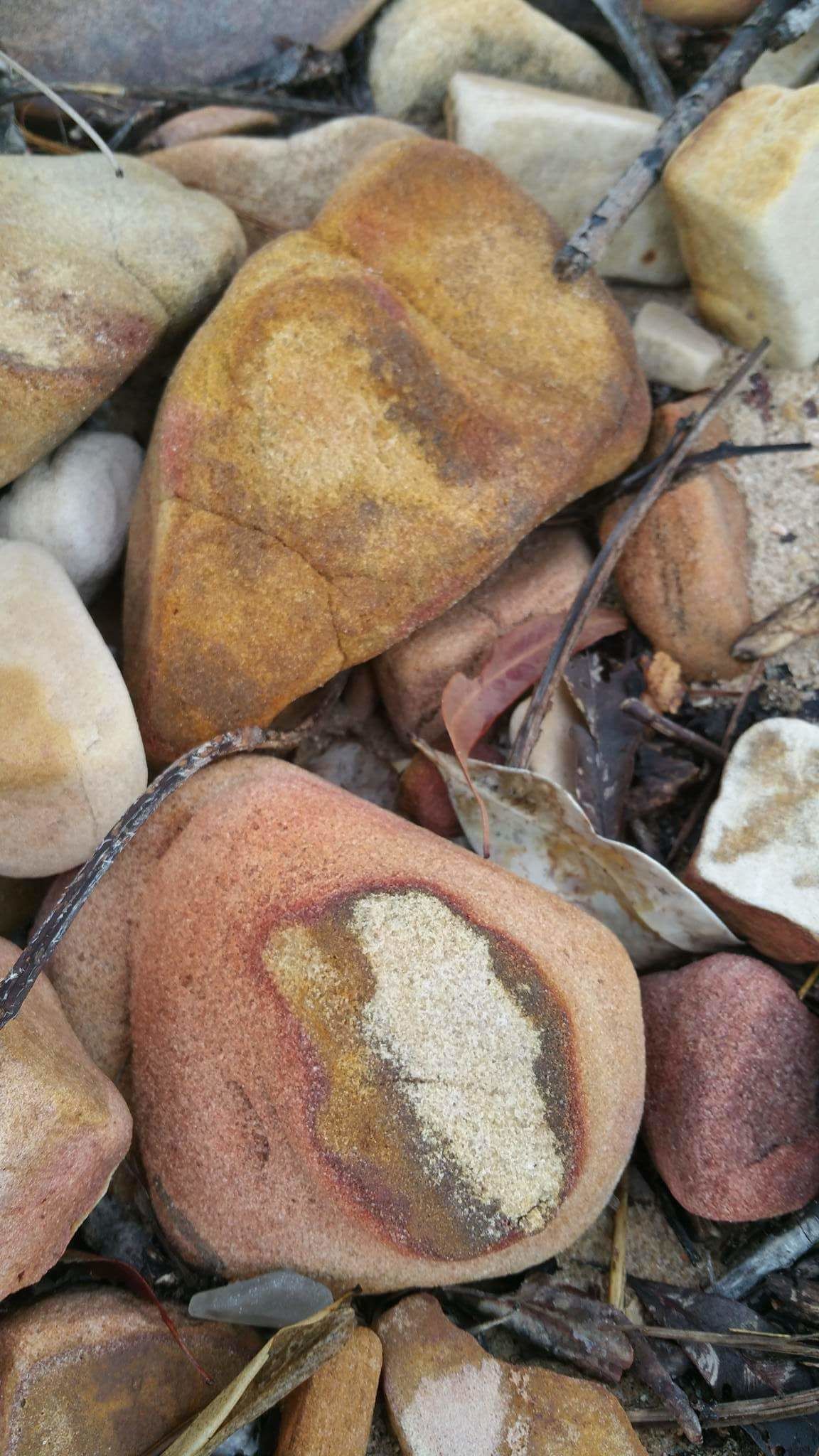 Beach rocks stones