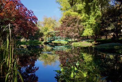 Scenic view of lake in forest