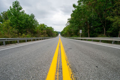 Surface level of empty road along trees