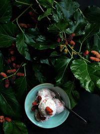 Directly above shot of ice cream in bowl with red berries on table
