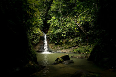 Scenic view of waterfall in amazonia