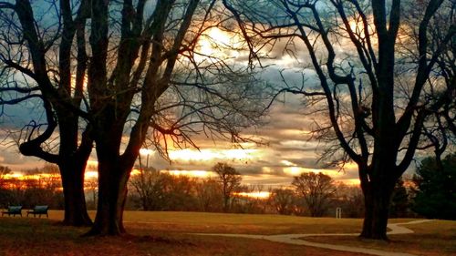 Bare trees against sky during sunset