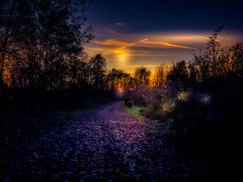 Scenic view of silhouette trees against sky during sunset