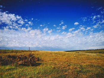 Scenic view of field against sky