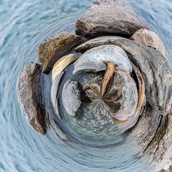 Close-up of turtle on tree trunk by lake