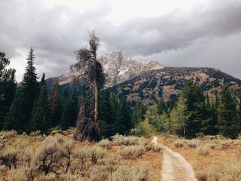 Road passing through landscape