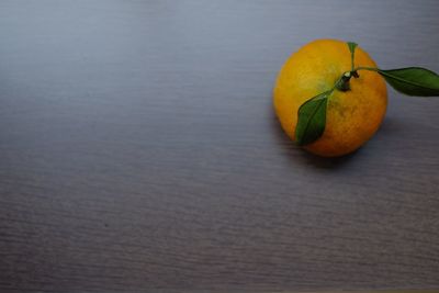 High angle view of orange on table