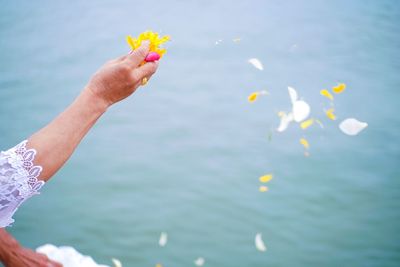 Close-up of hand holding flowering plant against sea