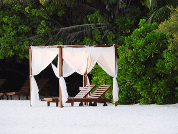 Chairs on beach against trees in yard