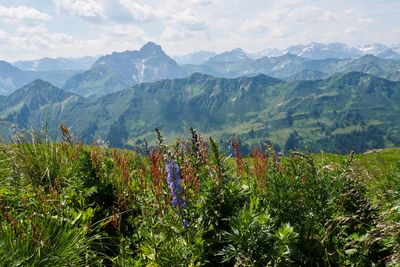 Scenic view of mountains against sky