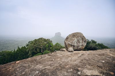 Rocks by trees against sky